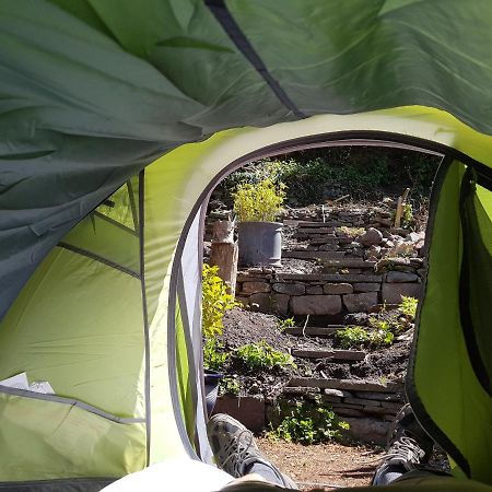 'Yellow Wood Micro Hostel-Eco Urban Bothy Style Very Basic But Cosy Redecorating But Cheap & Friendly Quiet Time Lockout 11Pm-7Am Bring Towel Or Hire Brecon Luaran gambar
