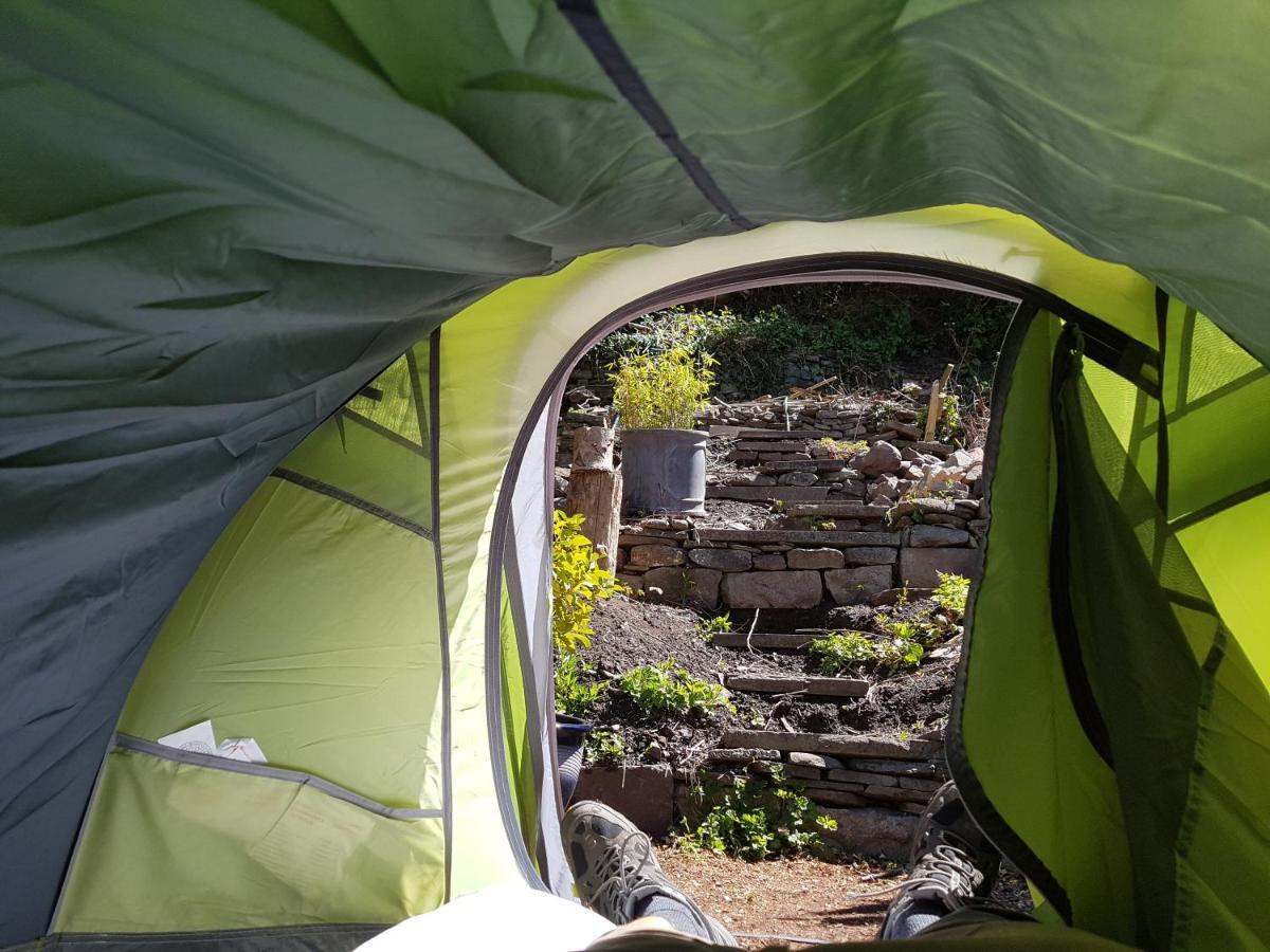 'Yellow Wood Micro Hostel-Eco Urban Bothy Style Very Basic But Cosy Redecorating But Cheap & Friendly Quiet Time Lockout 11Pm-7Am Bring Towel Or Hire Brecon Luaran gambar