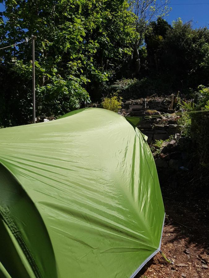 'Yellow Wood Micro Hostel-Eco Urban Bothy Style Very Basic But Cosy Redecorating But Cheap & Friendly Quiet Time Lockout 11Pm-7Am Bring Towel Or Hire Brecon Luaran gambar